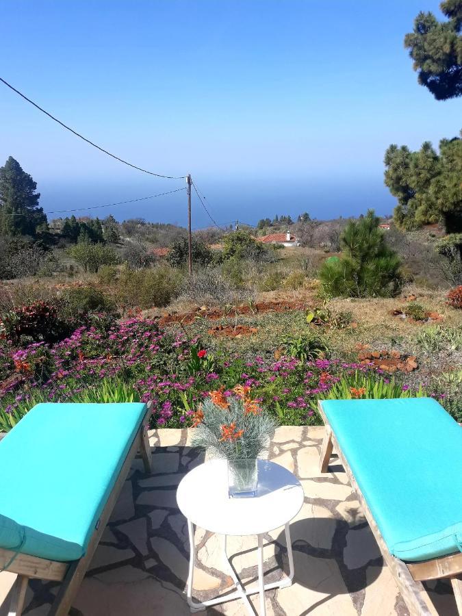 Casa Flor Azul Hébergement de vacances