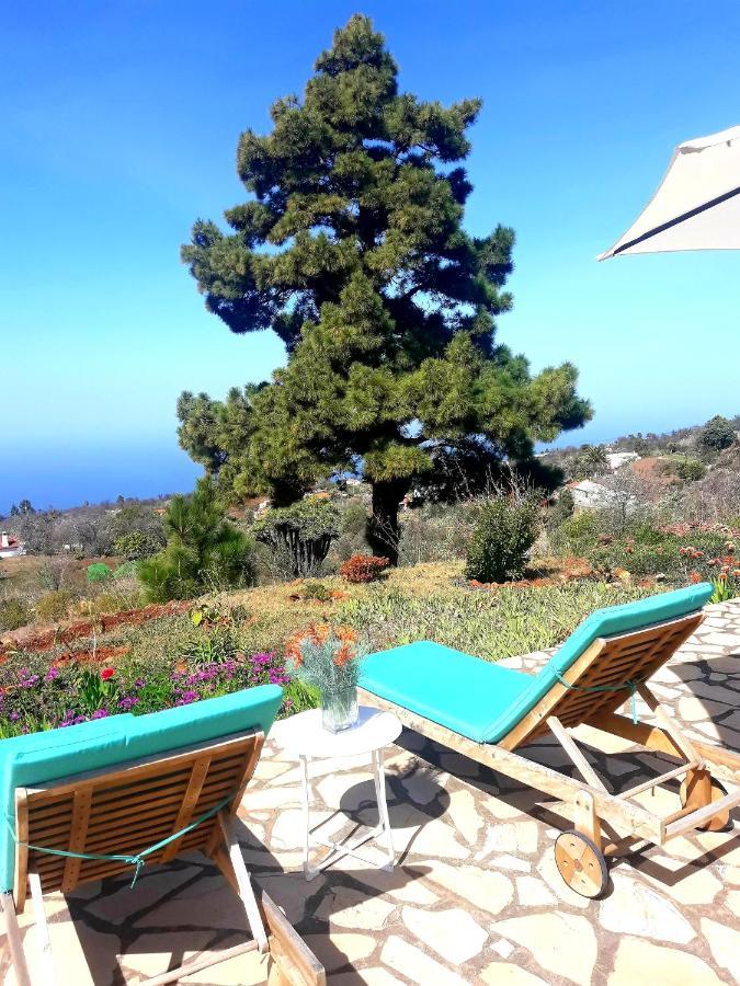 Hébergement de vacances Casa Flor Azul Las Tricias