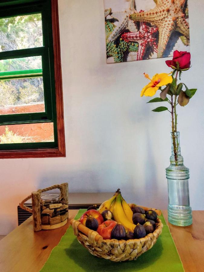 Casa Flor Azul Holiday home *